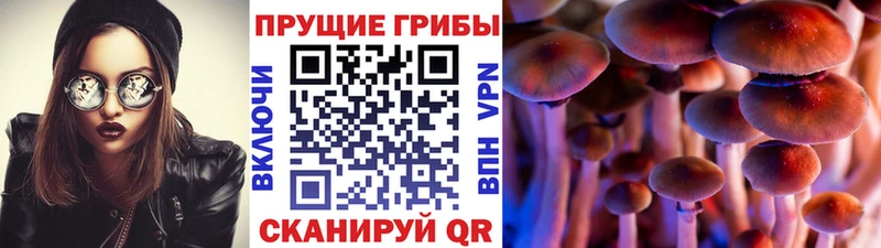 blacksprut ссылка  Ливны  Галлюциногенные грибы Cubensis 