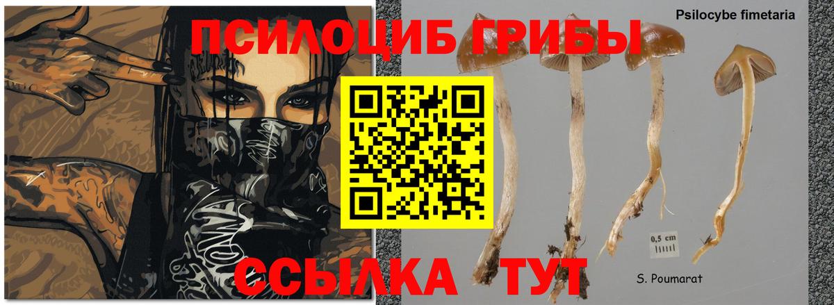 Псилоцибиновые грибы Psilocybine cubensis  Галлюциногенные грибы Psilocybine cubensis  Вход с VPN  Ливны 