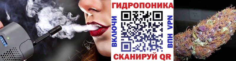 сколько стоит  Ливны  blacksprut как зайти  Канабис планчик 